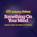 GTE、Kelsey - Something on Your Mind [feat. Kelsey]