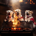 Fire Pets: Soothing Flame Echoes