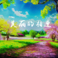 秦浩 - 美丽的相逢