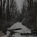 I See You In My Dreams