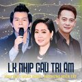 Như Hoa、Đoàn Minh、Bảo Hưng Miền Tây、Hoài Linh - LK Nhịp Cầu Tri Âm