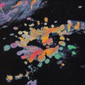 bbiaNe - LA MUSICA