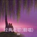 鹰雄 - 风雨兼程