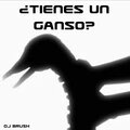 Tienes un ganso