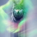 Sakred Wolves、M11SON、Widow Winslow、Love Austin、Mavericc - BloodMoon