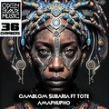 Camblom Subaria、2023 Camblom Subaria - Dimension