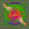 Liquid Rose - Choli