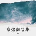 唐煌 - 无名的人