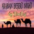 Arabian Desert Night