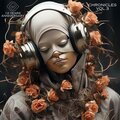 Va O.N.E. - The Fact