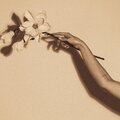 Uzee the Bovvaking、Morfia Soul - Only You