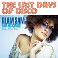 The Last Days of Disco