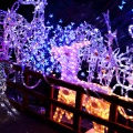 Icey Christmas
