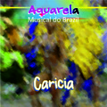 Pixinguinha、benedito lacerda - André de Sapato Novo