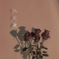 sky昊昊 - 红玫瑰