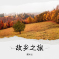 裴女士 - 乌兰巴托的夜