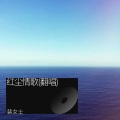 裴女士 - 红尘情歌