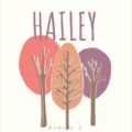 Armanjan Bakre - Hailey