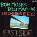 Bob Moses、Billy Martin - NaNa? NoNo. NeNe!