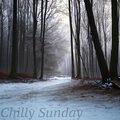 Chilly Sunday