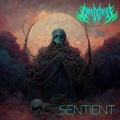 Dark Depths、Decade - I commit manslaughter on purpose (feat. Decade)(Explicit)