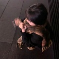 绪花、陆习习 - 笨蛋 我好想你
