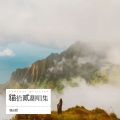 貓拾貳 - 连哭都是我的错