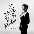 魏佳艺 - 大风吹倒梧桐树