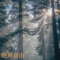 Powerful_K - 绝对自由