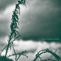 Rafael Anton Irisarri - A Great Northern Sigh