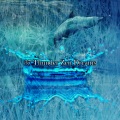 37 Thunder Zen Dreams