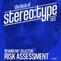 Risk Assessment - NEVER LET YOU DOWN