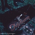 Matt Money、YMN Tommy、Dj Money、LooseSkrew ENT - PlaYer (feat. Matt MoneY, DJ MoneY & YMN TommY|Explicit)