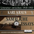 Friedrich Frieden、Karl Kraus - Kapitel 7