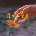 赵洋、郑畅业 - 落单的鸳鸯