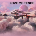 david wilson - Love Me Tende (Acoustic)
