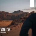 指弹柴海青 - 新疆