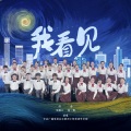 银河少年电视艺术团 - 我看见