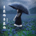 羡慕风羡慕雨