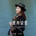 王爱华 - 不要再说爱