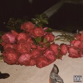 5HARK、Lazyboil雷贼波、hrkbeatz、Yxng Nova - 一笔带过ft.Zien,Yxng Nova (Explicit)