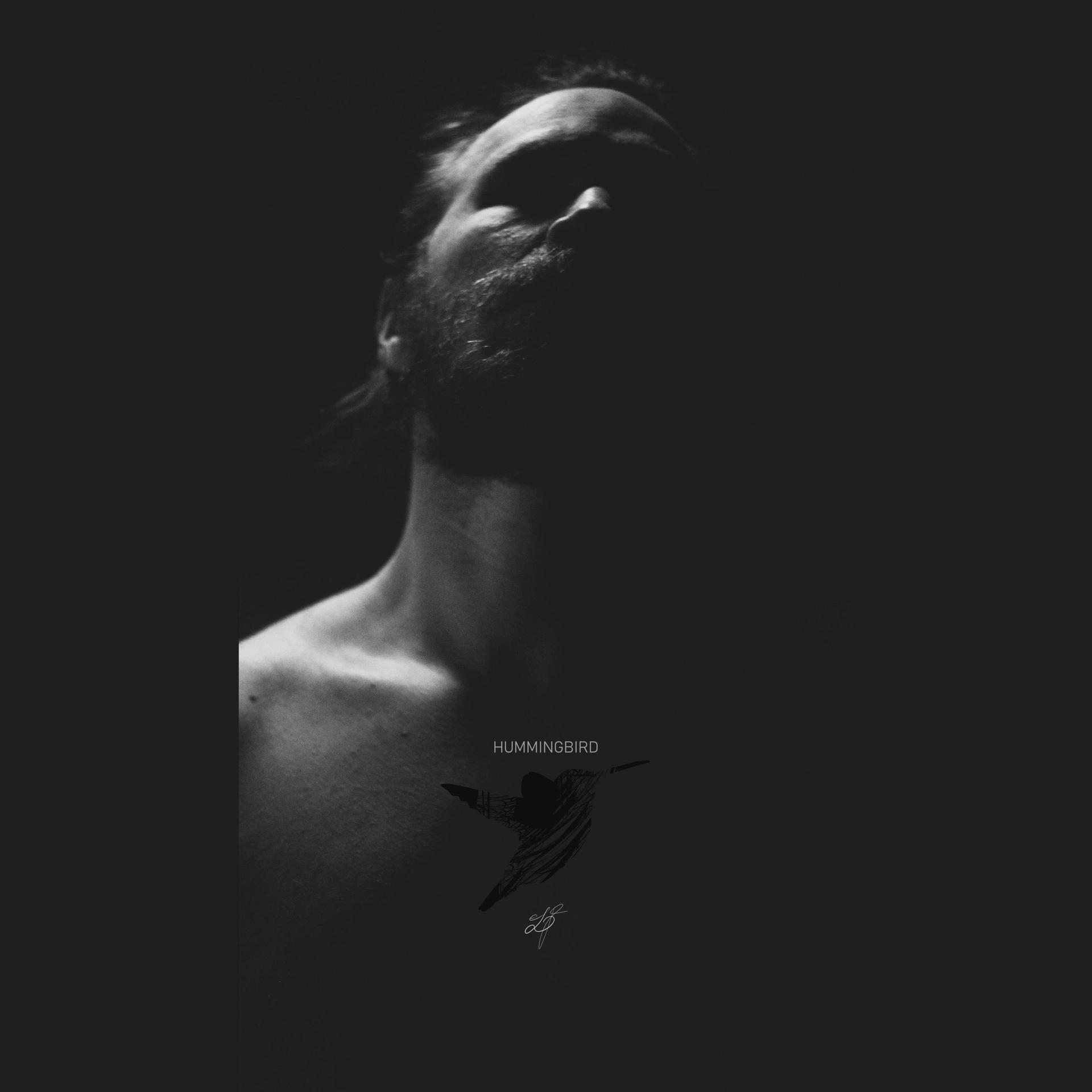 Bjørnar Frantzen - Hummingbird