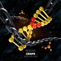 Re-Zone - CRISPR