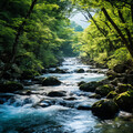 Naturae、Sonidos De Agua、Relajacion Meditar Academia - Armonías Ribereñas Del Agua