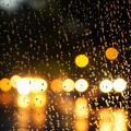 Gotas De Lluvia: Una Eufonía Natural