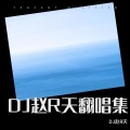 大风吹到梧桐树 (DJ赵R天 remix) (Remix)