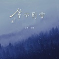 等不到雪