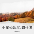 刘芷晴小猪 - 数星星