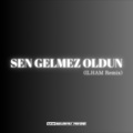 Sen gelmez oldun (ILHAM. remix)