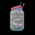 myboy.scoochy - IMPERMANENCE